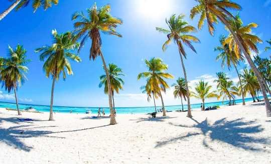 Sabana de la mar  Private Whale watching  Cayo Levantado